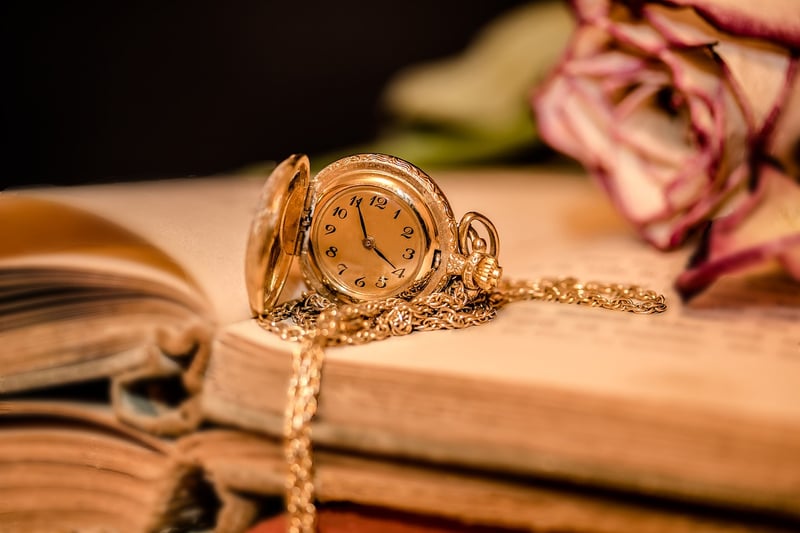 Time-Travel Professional
